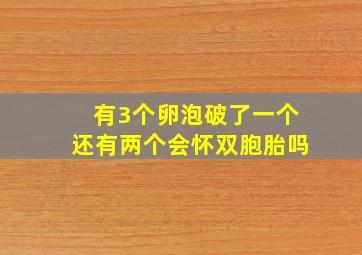 有3个卵泡破了一个还有两个会怀双胞胎吗