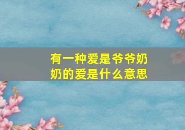 有一种爱是爷爷奶奶的爱是什么意思