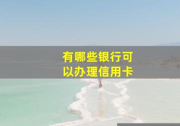 有哪些银行可以办理信用卡