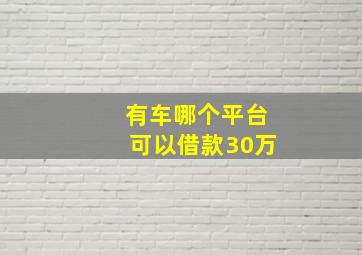 有车哪个平台可以借款30万