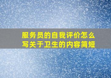 服务员的自我评价怎么写关于卫生的内容简短