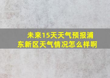 未来15天天气预报浦东新区天气情况怎么样啊