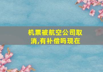 机票被航空公司取消,有补偿吗现在