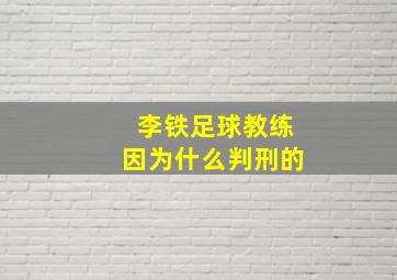 李铁足球教练因为什么判刑的