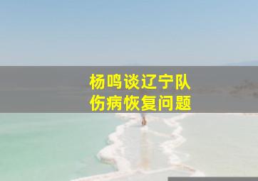 杨鸣谈辽宁队伤病恢复问题