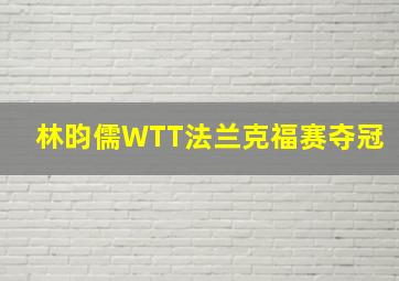 林昀儒WTT法兰克福赛夺冠