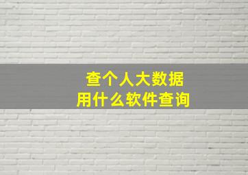 查个人大数据用什么软件查询