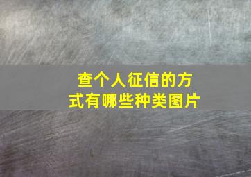 查个人征信的方式有哪些种类图片