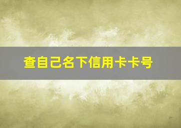 查自己名下信用卡卡号