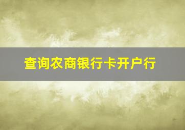 查询农商银行卡开户行