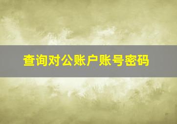 查询对公账户账号密码