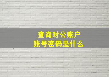 查询对公账户账号密码是什么