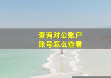 查询对公账户账号怎么查看