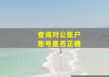 查询对公账户账号是否正确