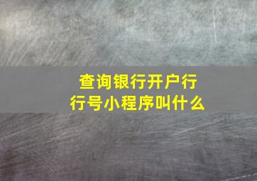 查询银行开户行行号小程序叫什么