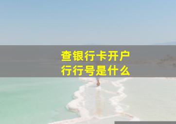 查银行卡开户行行号是什么