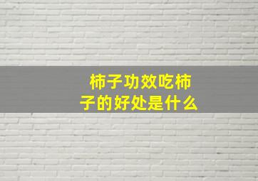 柿子功效吃柿子的好处是什么