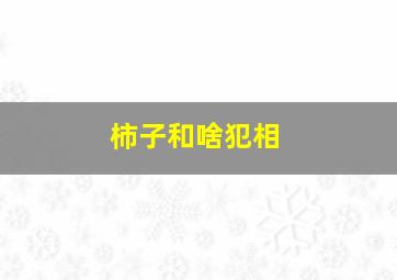 柿子和啥犯相