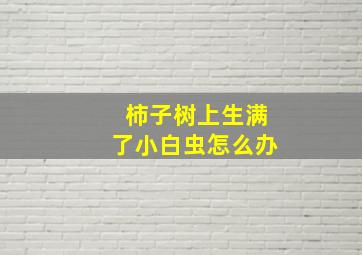 柿子树上生满了小白虫怎么办