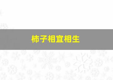 柿子相宜相生