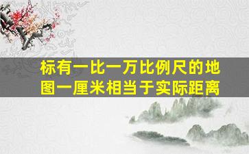 标有一比一万比例尺的地图一厘米相当于实际距离