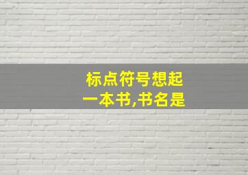 标点符号想起一本书,书名是