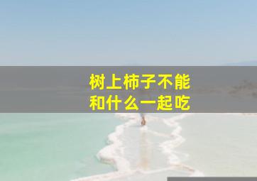 树上柿子不能和什么一起吃