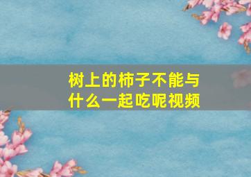 树上的柿子不能与什么一起吃呢视频