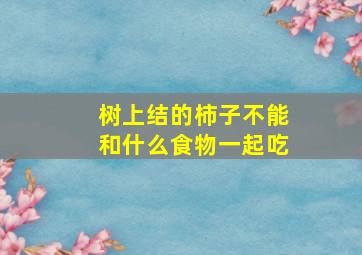 树上结的柿子不能和什么食物一起吃