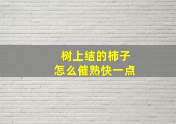 树上结的柿子怎么催熟快一点