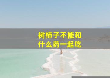 树柿子不能和什么药一起吃