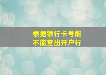 根据银行卡号能不能查出开户行