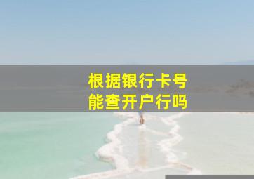 根据银行卡号能查开户行吗