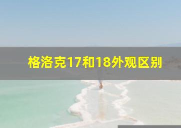 格洛克17和18外观区别