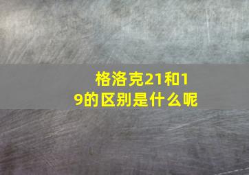 格洛克21和19的区别是什么呢