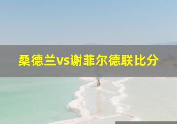 桑德兰vs谢菲尔德联比分