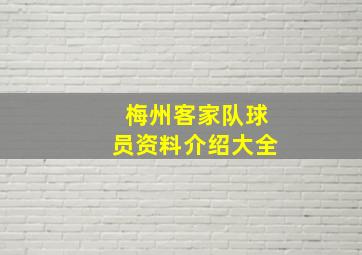 梅州客家队球员资料介绍大全