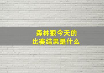 森林狼今天的比赛结果是什么