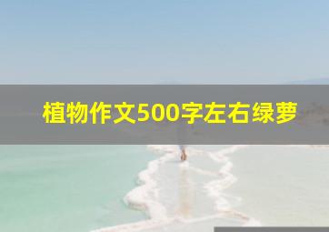 植物作文500字左右绿萝