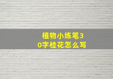 植物小练笔30字桂花怎么写