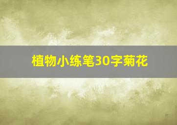 植物小练笔30字菊花