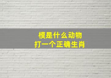 模是什么动物打一个正确生肖