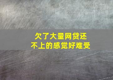 欠了大量网贷还不上的感觉好难受