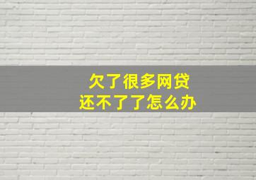 欠了很多网贷还不了了怎么办