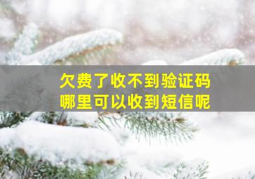 欠费了收不到验证码哪里可以收到短信呢