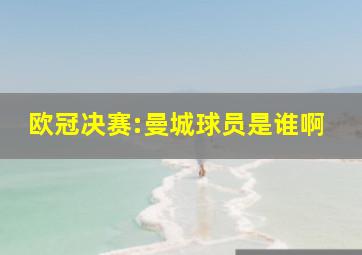 欧冠决赛:曼城球员是谁啊