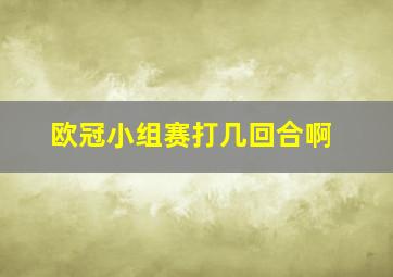 欧冠小组赛打几回合啊