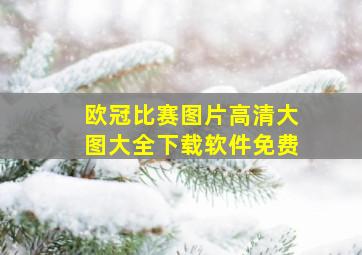 欧冠比赛图片高清大图大全下载软件免费