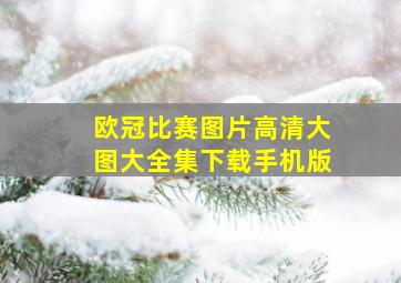 欧冠比赛图片高清大图大全集下载手机版