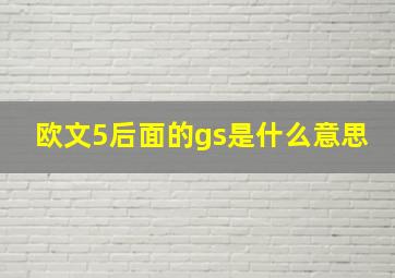 欧文5后面的gs是什么意思